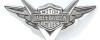 Metal Badging